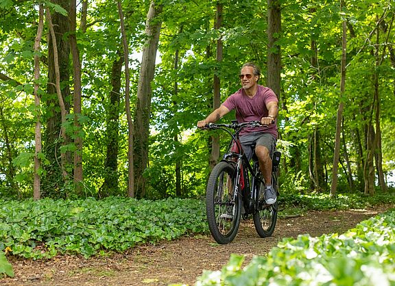 Mountainbike / Pedlec auf Waldweg