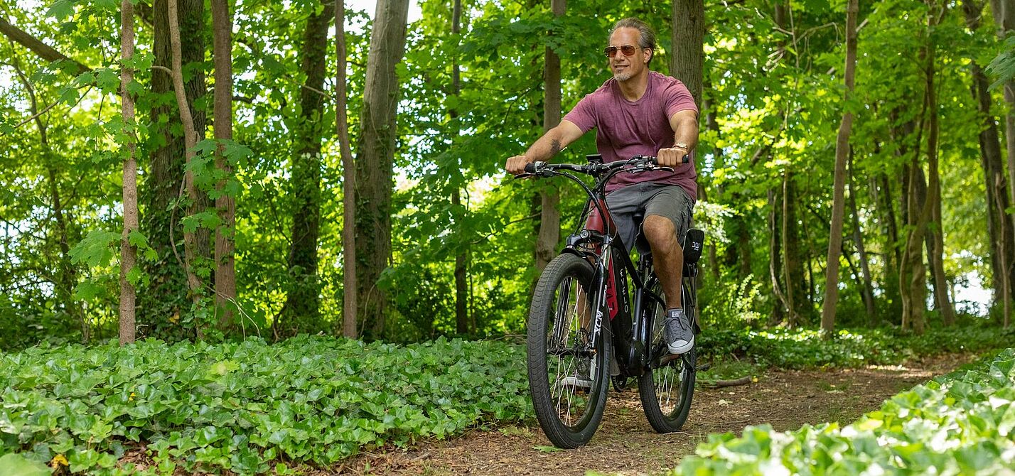 Mountainbike / Pedlec auf Waldweg