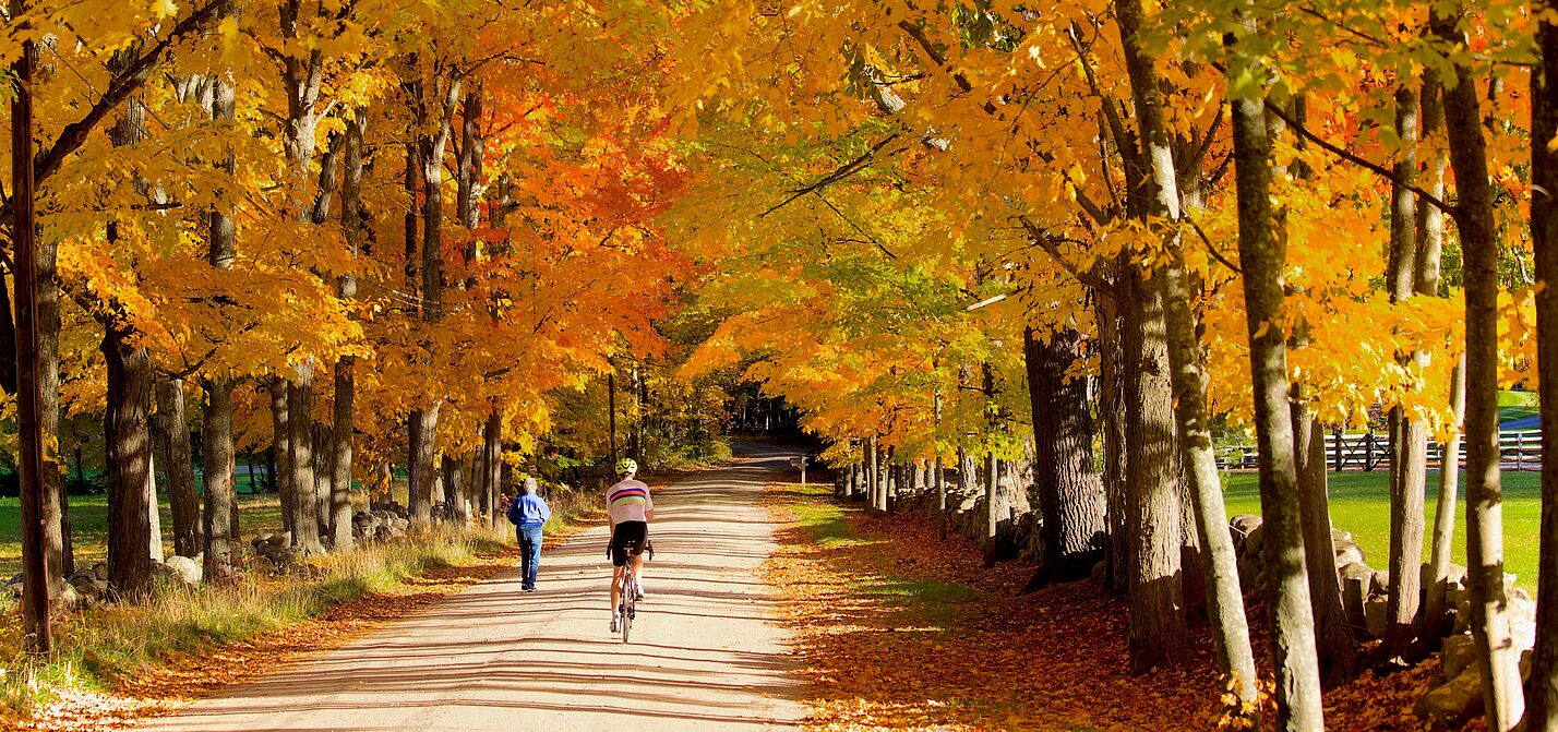 Fahrradfahrer unter herbstlichen Bäumen
